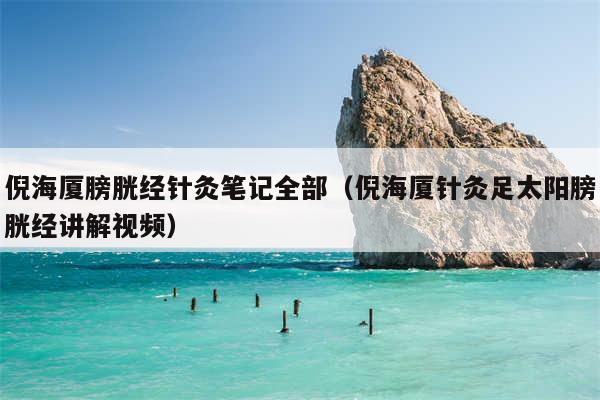 倪海厦膀胱经针灸笔记全部（倪海厦针灸足太阳膀胱经讲解视频）