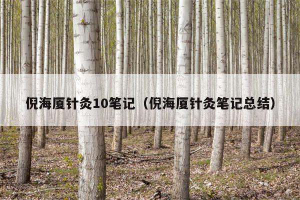 倪海厦针灸10笔记（倪海厦针灸笔记总结）