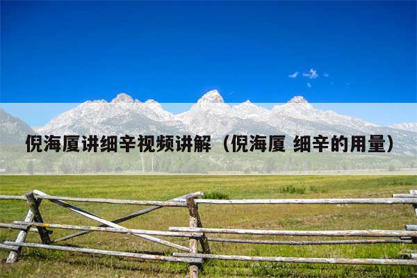 倪海厦讲细辛视频讲解（倪海厦 细辛的用量）