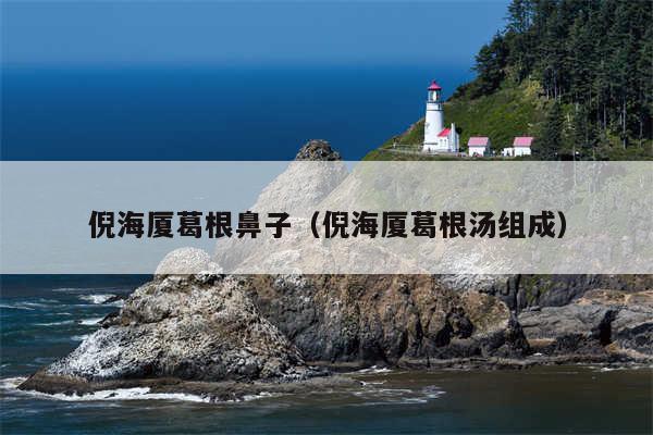 倪海厦葛根鼻子（倪海厦葛根汤组成）