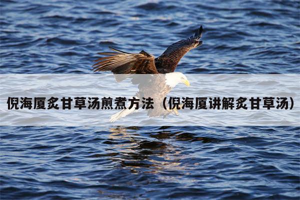 倪海厦炙甘草汤煎煮方法（倪海厦讲解炙甘草汤）