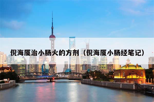 倪海厦治小肠火的方剂（倪海厦小肠经笔记）