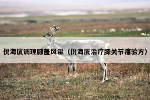 倪海厦调理膝盖风湿（倪海厦治疗膝关节痛验方）