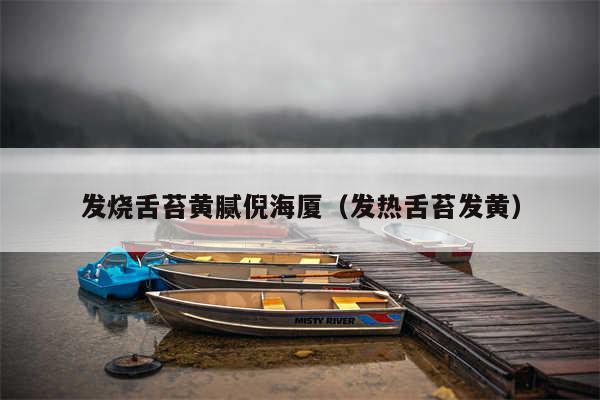 发烧舌苔黄腻倪海厦（发热舌苔发黄）