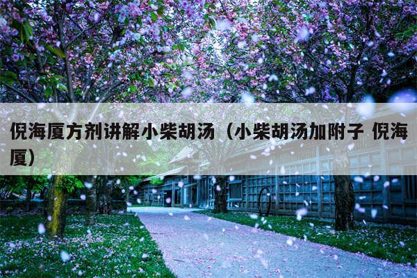 倪海厦方剂讲解小柴胡汤（小柴胡汤加附子 倪海厦）