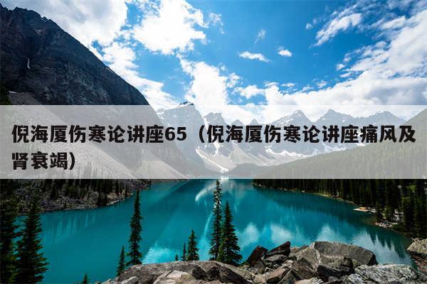 倪海厦伤寒论讲座65（倪海厦伤寒论讲座痛风及肾衰竭）