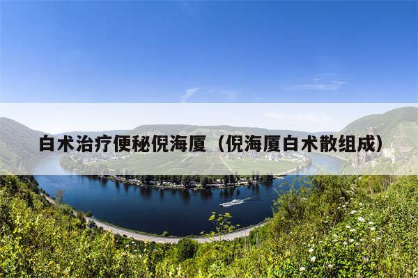 白术治疗便秘倪海厦（倪海厦白术散组成）