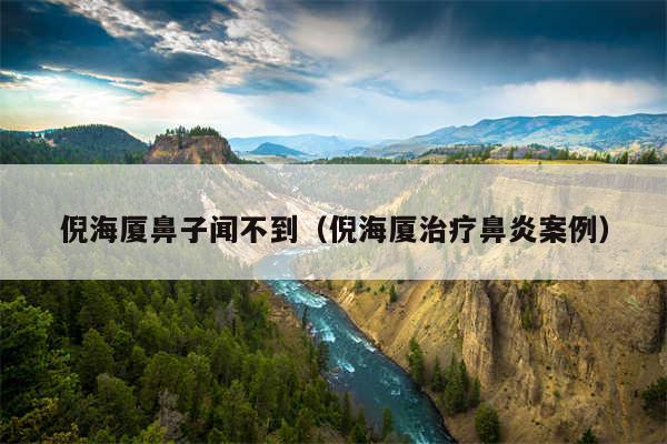 倪海厦鼻子闻不到（倪海厦治疗鼻炎案例）