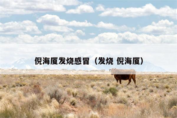 倪海厦发烧感冒（发烧 倪海厦）