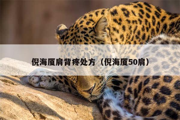 倪海厦肩背疼处方（倪海厦50肩）