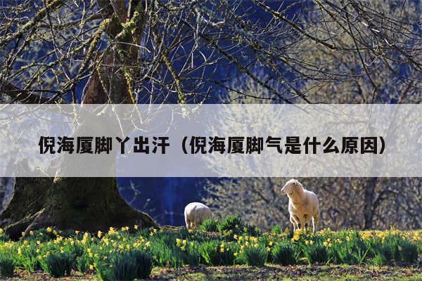 倪海厦脚丫出汗（倪海厦脚气是什么原因）