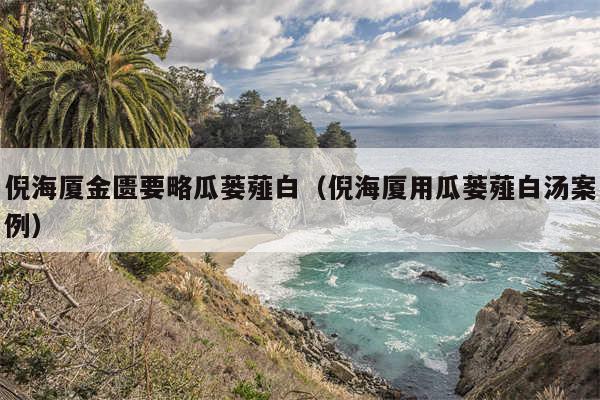 倪海厦金匮要略瓜蒌薤白（倪海厦用瓜蒌薤白汤案例）