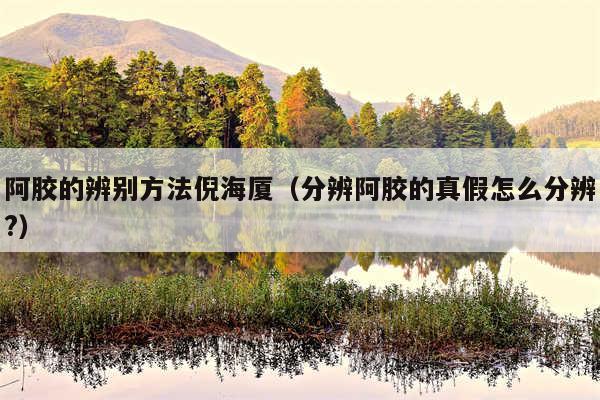 阿胶的辨别方法倪海厦（分辨阿胶的真假怎么分辨?）