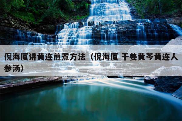 倪海厦讲黄连煎煮方法（倪海厦 干姜黄芩黄连人参汤）