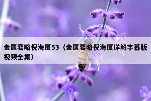 金匮要略倪海厦53（金匮要略倪海厦详解字幕版视频全集）