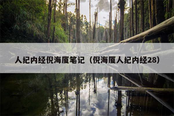 人纪内经倪海厦笔记（倪海厦人纪内经28）