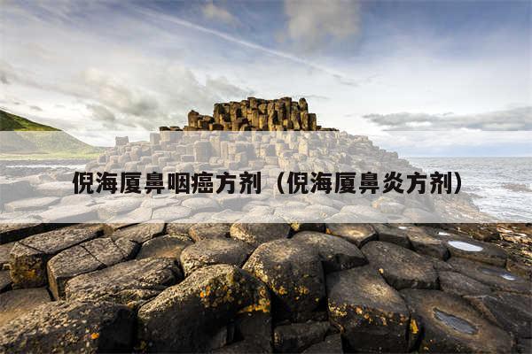倪海厦鼻咽癌方剂（倪海厦鼻炎方剂）