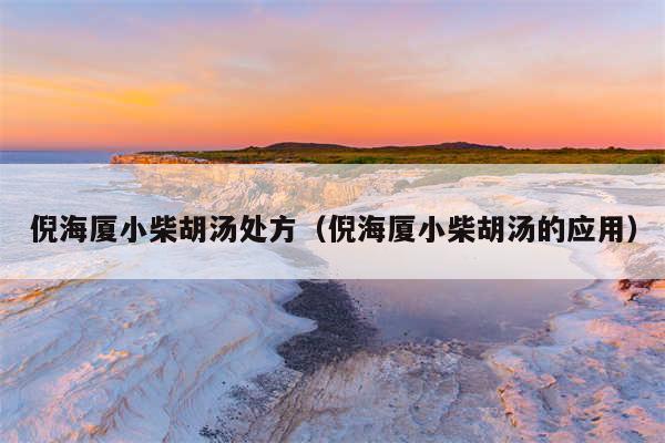 倪海厦小柴胡汤处方（倪海厦小柴胡汤的应用）