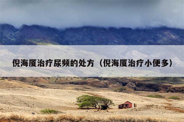 倪海厦治疗尿频的处方（倪海厦治疗小便多）
