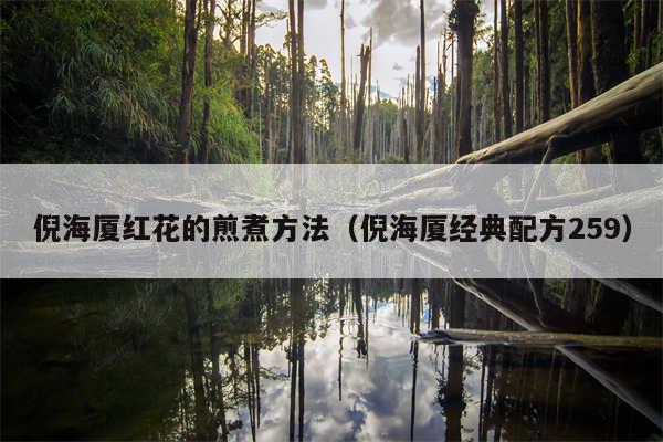 倪海厦红花的煎煮方法（倪海厦经典配方259）