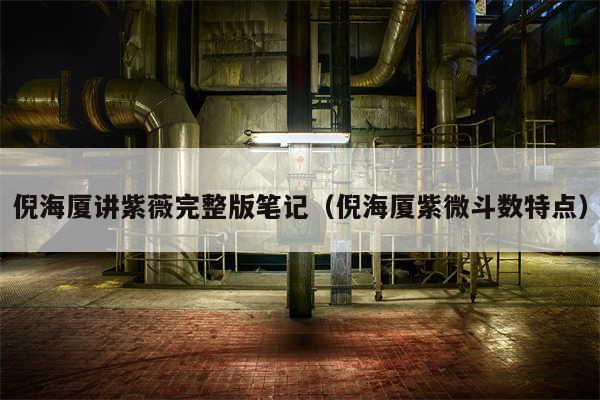 倪海厦讲紫薇完整版笔记（倪海厦紫微斗数特点）