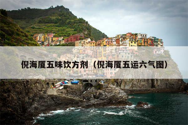 倪海厦五味饮方剂（倪海厦五运六气图）