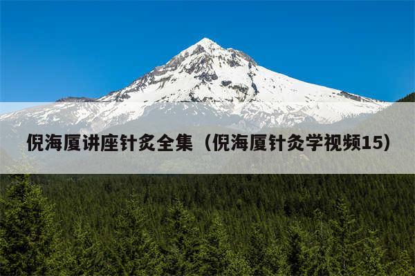 倪海厦讲座针炙全集（倪海厦针灸学视频15）