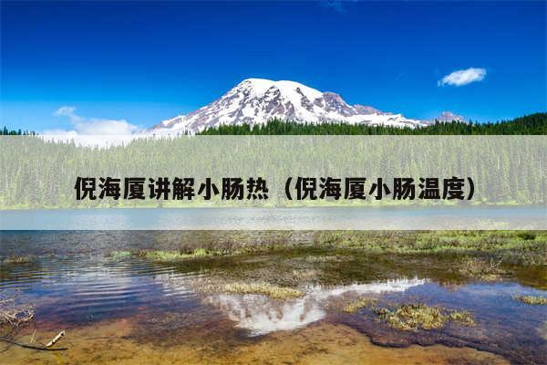 倪海厦讲解小肠热（倪海厦小肠温度）