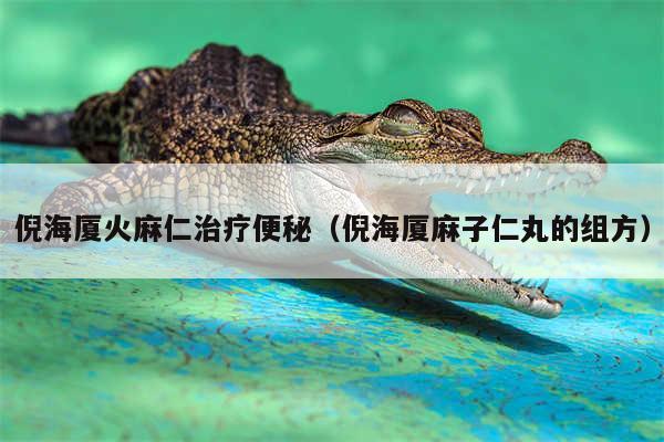 倪海厦火麻仁治疗便秘（倪海厦麻子仁丸的组方）