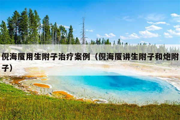 倪海厦用生附子治疗案例（倪海厦讲生附子和炮附子）