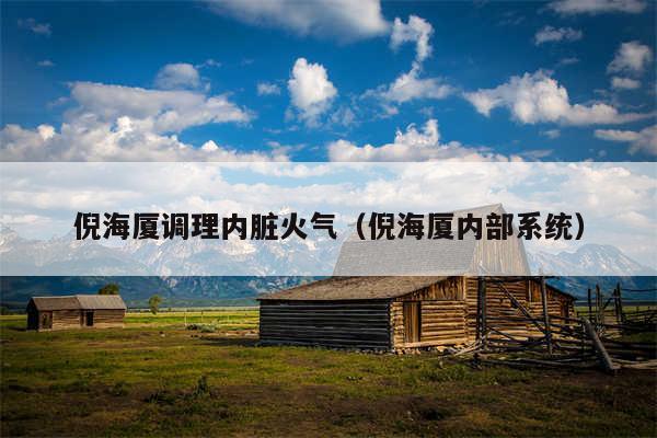倪海厦调理内脏火气(倪海厦内部系统)