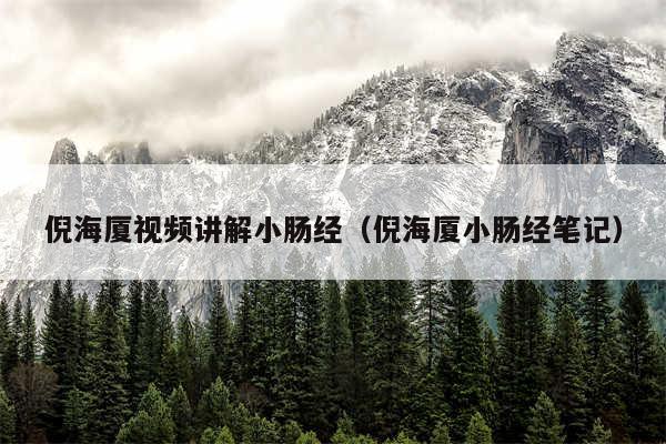 倪海厦视频讲解小肠经(倪海厦小肠经笔记)