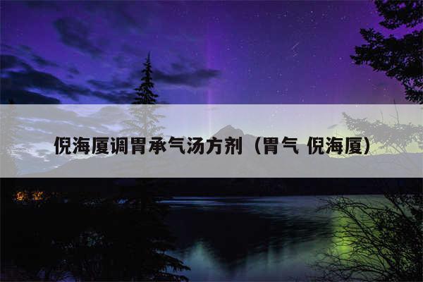 倪海厦调胃承气汤方剂(胃气 倪海厦)