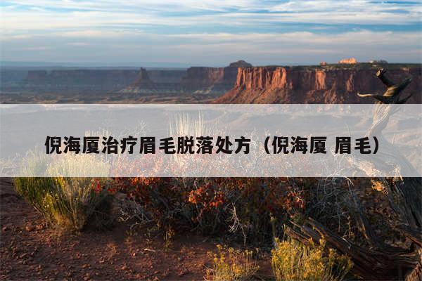 倪海厦治疗眉毛脱落处方(倪海厦 眉毛)