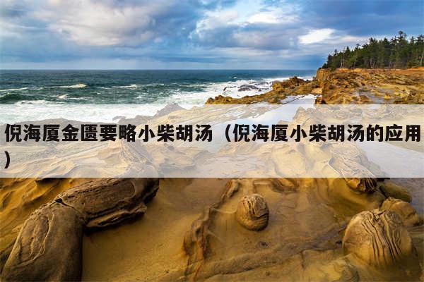 倪海厦金匮要略小柴胡汤(倪海厦小柴胡汤的应用)
