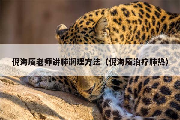 倪海厦老师讲肺调理方法(倪海厦治疗肺热)