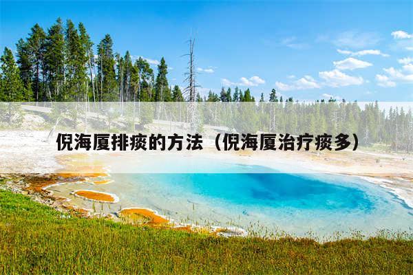 倪海厦排痰的方法(倪海厦治疗痰多)