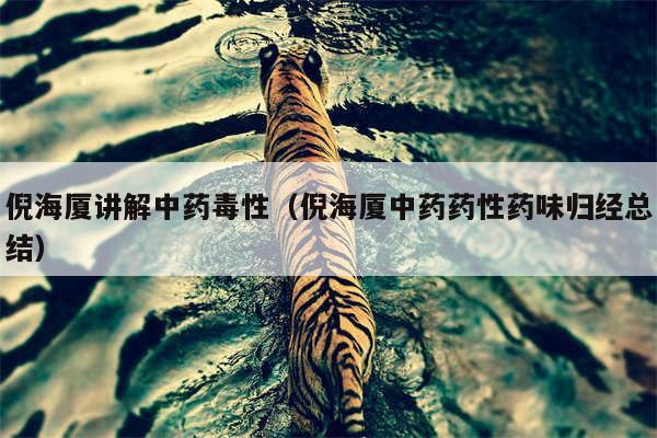 倪海厦讲解中药毒性(倪海厦中药药性药味归经总结)