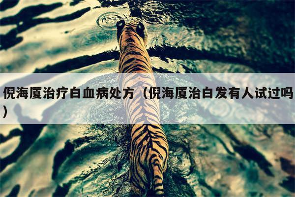 倪海厦治疗白血病处方(倪海厦治白发有人试过吗)