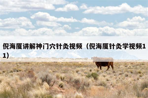 倪海厦讲解神门穴针灸视频(倪海厦针灸学视频11)