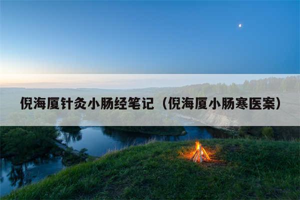 倪海厦针灸小肠经笔记(倪海厦小肠寒医案)