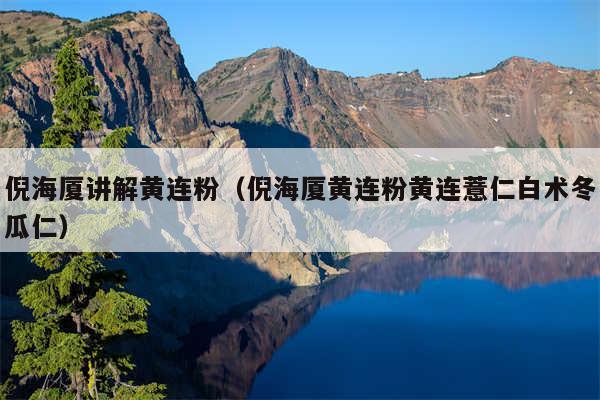 倪海厦讲解黄连粉(倪海厦黄连粉黄连薏仁白术冬瓜仁)