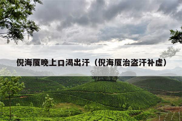 倪海厦晚上口渴出汗(倪海厦治盗汗补虚)