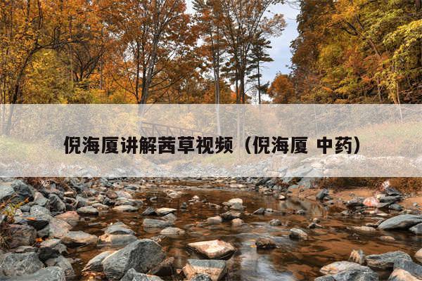 倪海厦讲解茜草视频(倪海厦 中药)