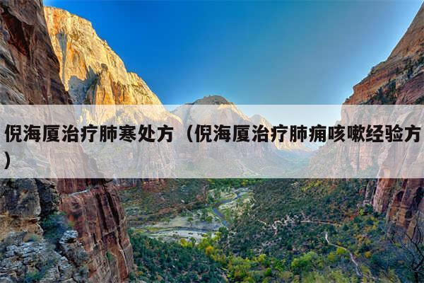 倪海厦治疗肺寒处方(倪海厦治疗肺痈咳嗽经验方)