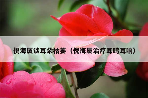 倪海厦谈耳朵枯萎(倪海厦治疗耳鸣耳响)