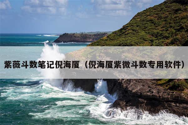 紫薇斗数笔记倪海厦(倪海厦紫微斗数专用软件)