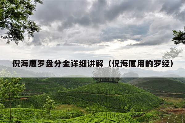 倪海厦罗盘分金详细讲解(倪海厦用的罗经)