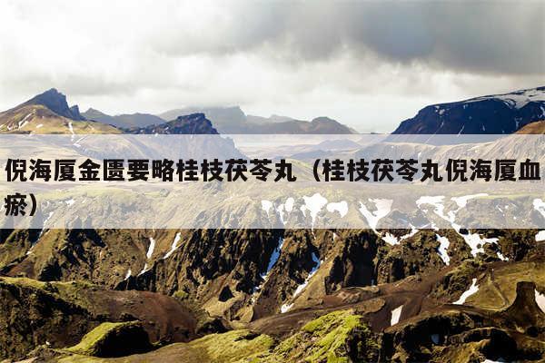 倪海厦金匮要略桂枝茯苓丸（桂枝茯苓丸倪海厦血瘀）