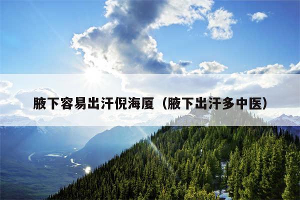 腋下容易出汗倪海厦（腋下出汗多中医）